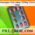 Kamagra Oral Jalea 100Mg Cómo Usar 06